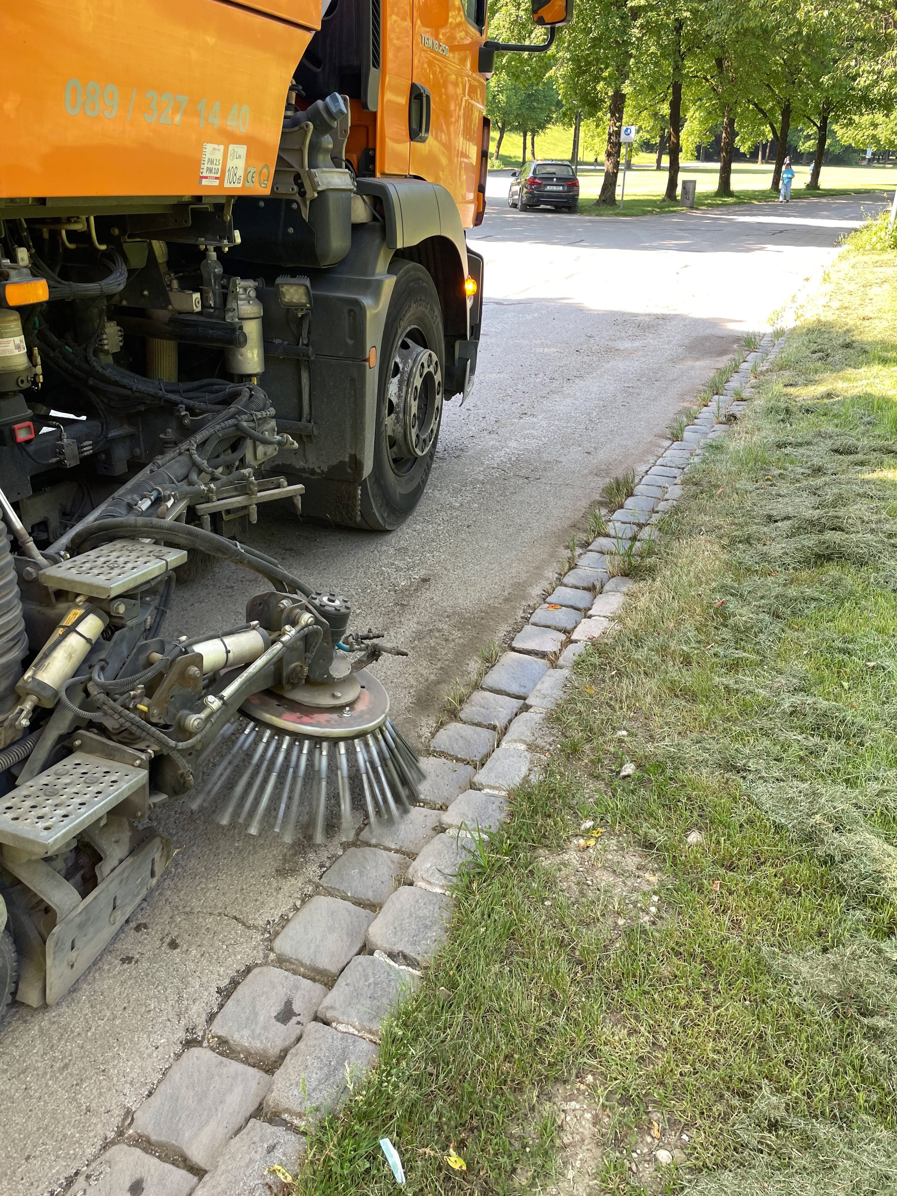 Vorreinigung mit Wildkrautbürste.